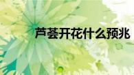 芦荟开花什么预兆 吉兆寓意解析